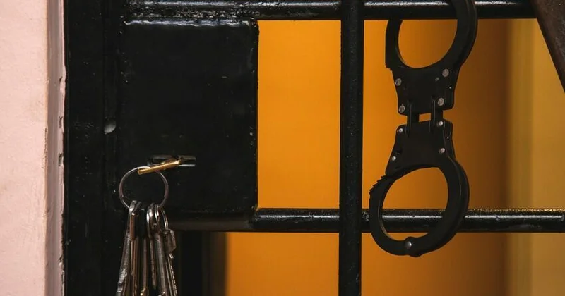 Из Грузии в Азербайджан экстрадированы два человека