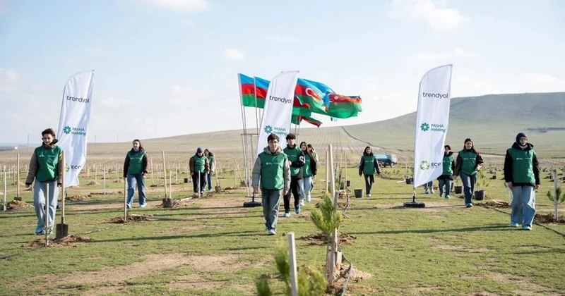 “Trendyol“ və “PAŞA Holdinq“in təşəbbüsü ilə 12 mindən çox ağac əkilib FOTO