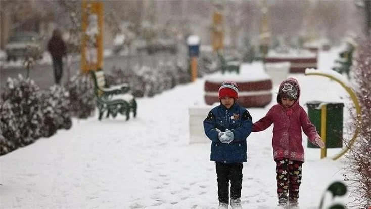 Azərbaycanda məktəblər qara görə bağlanır? Rəsmi