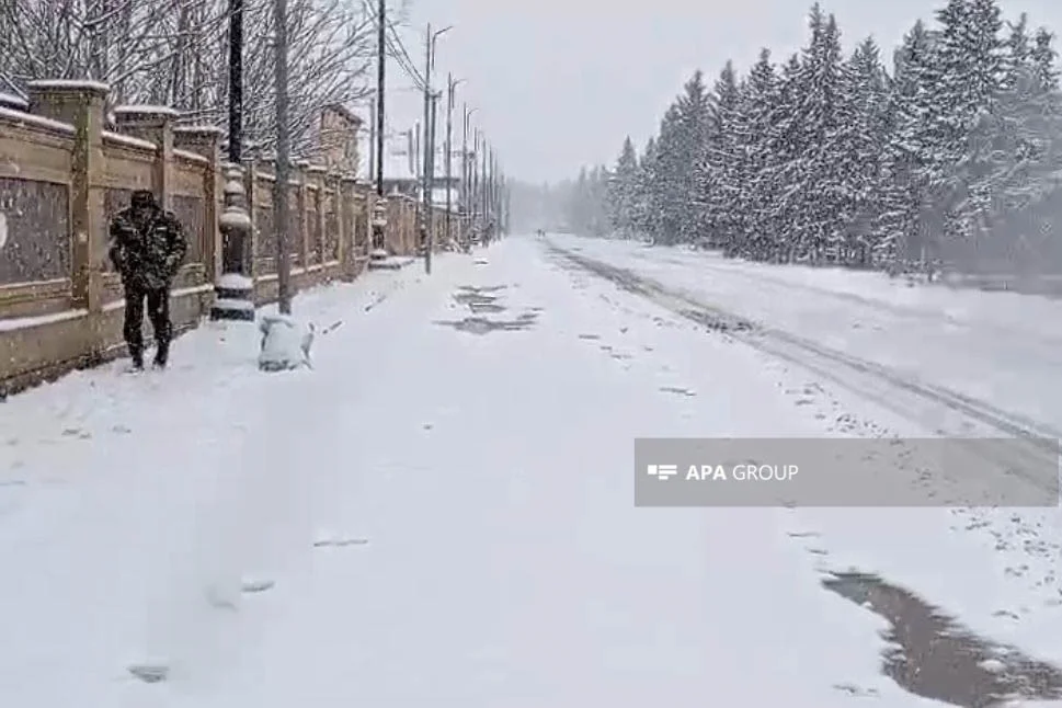 Güclü qar nəticəsində Cəlilabad Yardımlı yolunda hərəkət məhdudlaşıb