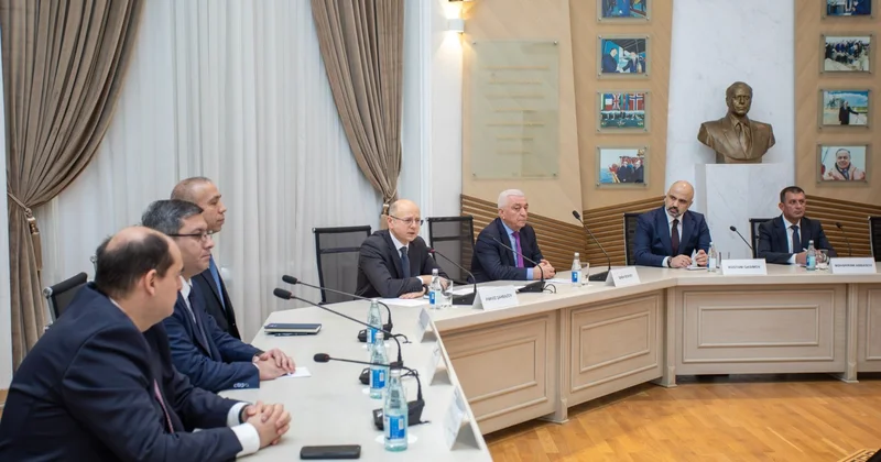 Министр энергетики обнародовал долю ВИЭ в Нахчыванской АР