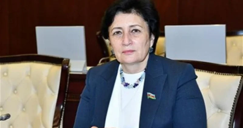 Azərbaycan dövləti bundan sonra da qlobal sülh gündəliyinə fəal töhfə verməyə hazırdır ŞƏRH