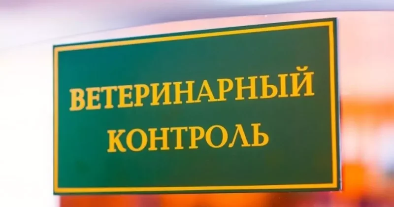 В Кыргызстане планируют ужесточить ветеринарный контроль?