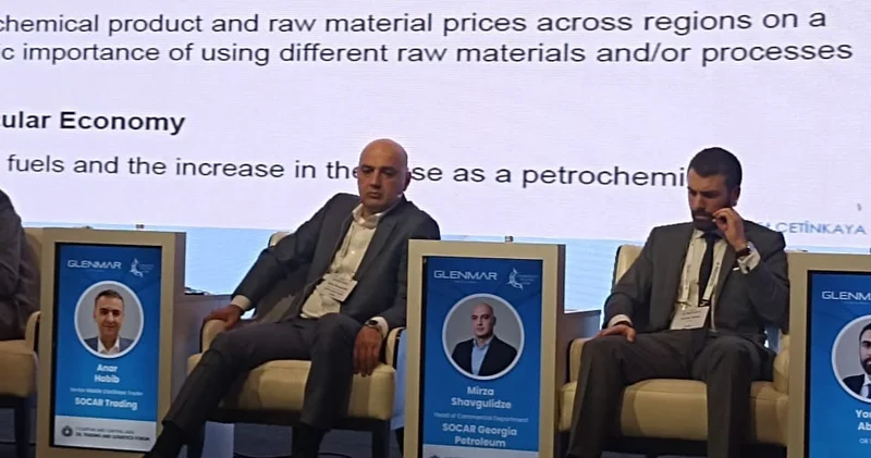 SOCAR Georgia: энергетический кризис затронул Грузию