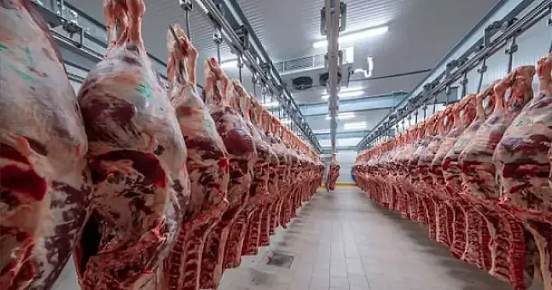 Nə qədər alsaq da, çatmır: Həm bahalaşır, həm də azalır