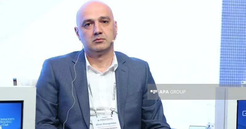 SOCAR Georgia Petroleum: Азербайджан один из лидеров поставок дизеля в Грузию