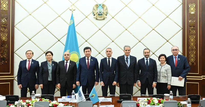 Azərbaycan nümayəndə heyətini Qazaxıstan Prezidenti qəbul edib