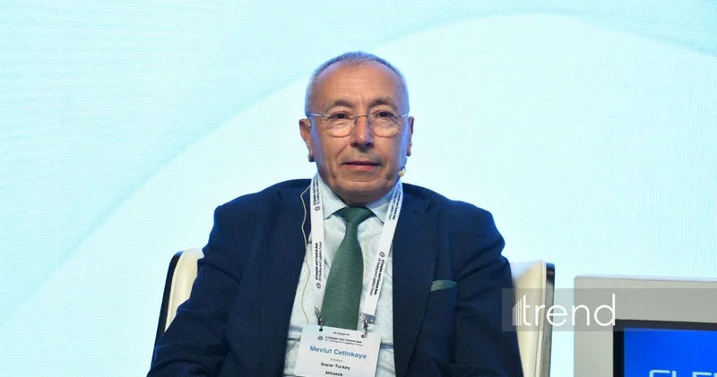 Турция и страны Кавказа могут стать важным центром нефтехимии в долгосрочной перспективе SOCAR Türkiye