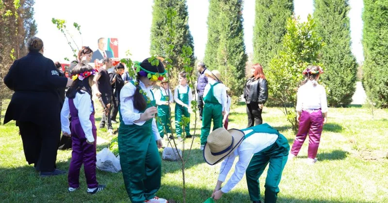 Şəhərsalma və Memarlıq İli çərçivəsində Nizami Gəncəvi Muzeyi nin ərazisində yaşıllıq zonaları genişləndirilir