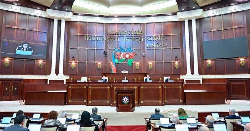 İnsanlar onları kameraya çəkməlidirlər, ifşa etməlidirlər Milli Məclisdə vətəndaşlara çağırış