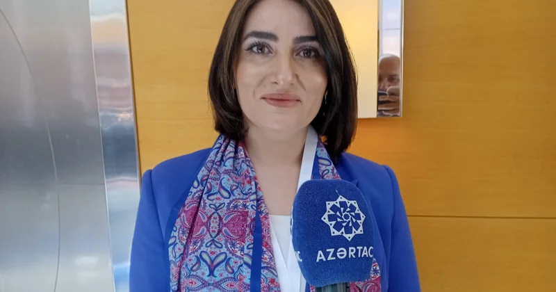 Türkiyəli ekspert: Dünya ictimaiyyəti Qərbi Azərbaycan haqqında həqiqətləri bilməlidir
