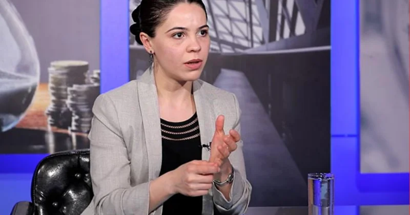 Erməni ekspert: “Azərbaycandan nümunə götürün”