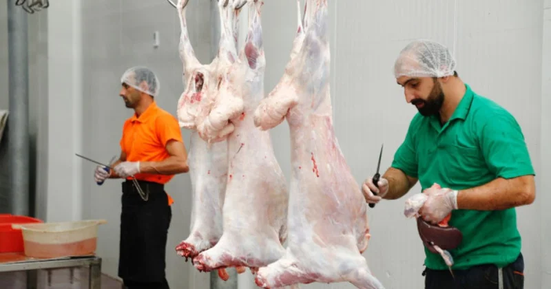 Qurbanlıq heyvanlar bu ünvanlarda kəsiləcək