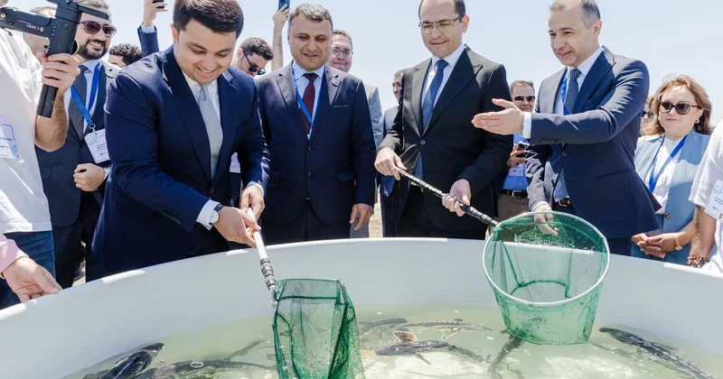 Xəzər dənizinə 100 000 nərə və 20 000 Xəzər qızılbalığı buraxılıb