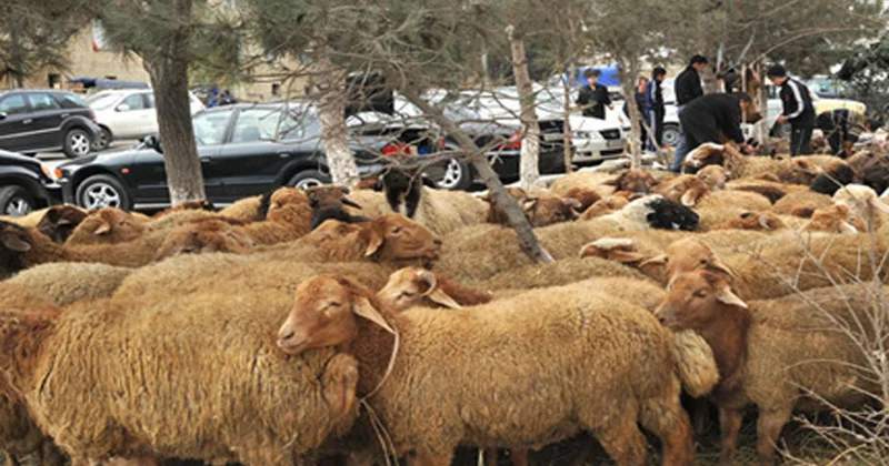 21 ilin hava analizi: ən isti may nə vaxt olub?