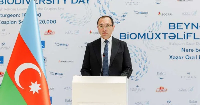 Nazir sağaldı, xalq arasına çıxdı