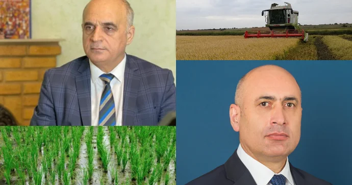 Azərbaycan daxili düyü tələbatını niyə hələ də idxal hesabına ödəyir? EKSPERT AÇIQLADI FOTO