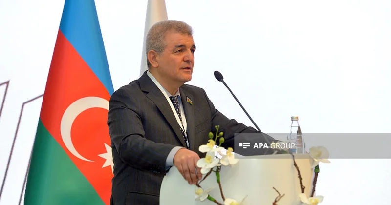 Fazil Mustafa: Həbsxanalar narkotik istifadəçiləri ilə doldurulmalı deyil
