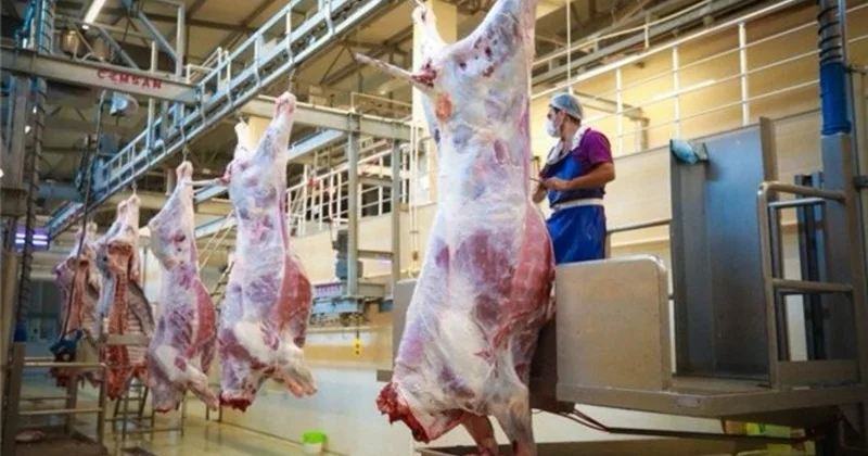 QURBANLIQ heyvanların satışı və kəsimi xidmətləri göstəriləcək ÜNVANLAR açıqlanıb