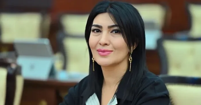 Deputat Milli Məclisdə Elgündən DANIŞDI
