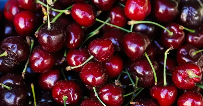Yetişmiş albalı necə olur?