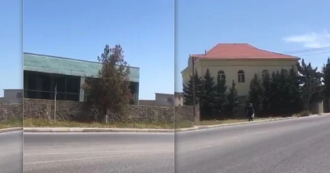 Bakıda obyekt sahibi ağacları qəsdən qurudur?