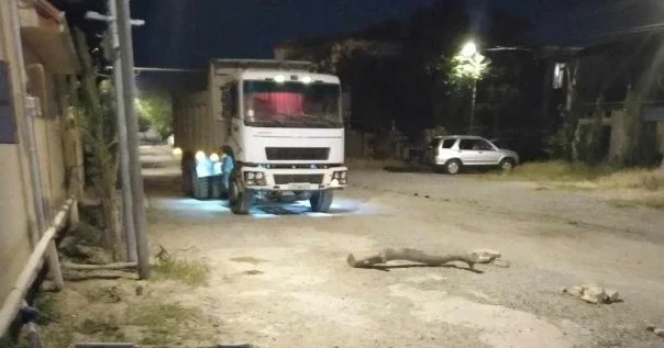 SURAXANIDA HOQQA VERƏN YÜK SÜRÜCÜLƏRƏ və ŞİRKƏT RƏHBƏRLİYİ... Sakinlər etiraz edir (VİDEO, FOTO)