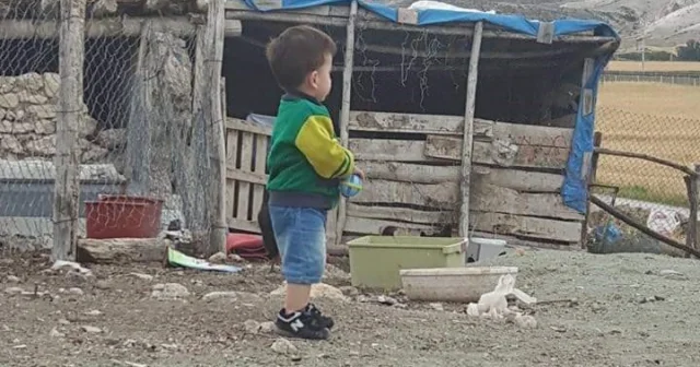 Ağcaqanad 1 yaşlı uşağın həyatını məhv etdi 6 ildir yataq xəstəsidir FOTO