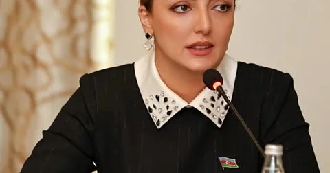 “Diplomatiyamızın növbəti zəfəri”