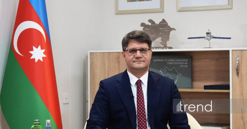 Azərbaycanda süni intellekt əsaslı meşə monitorinq sistemi tətbiq ediləcək Nazir Rəşad İsmayılov MÜSAHİBƏ