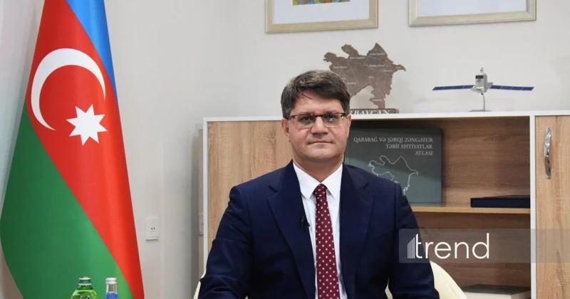 Meşələrin mühafizəsində yeni dövr: Azərbaycanda süni intellekt və dronlar tətbiq ediləcək