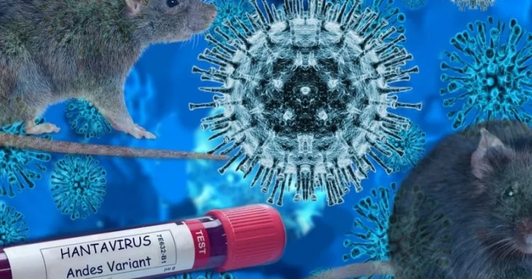 Qorxu və kapitalizm imperiyası” Hantavirus xəbərlərinin anatomiyası