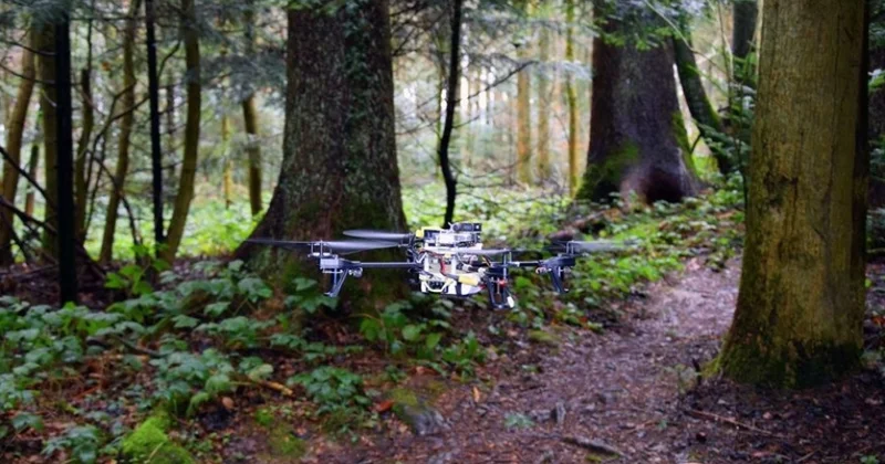 Azərbaycanda meşələrə dronlar nəzarət edəcək Nazir açıqladı