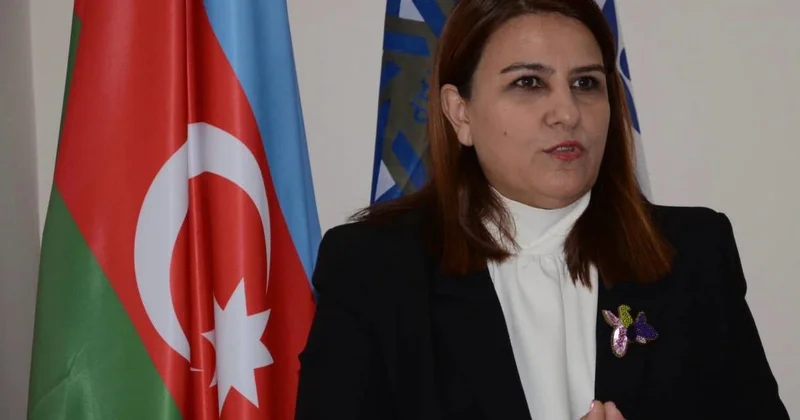 İcra başçısının müavini korrupsiyaya görə işdən çıxarılıb?