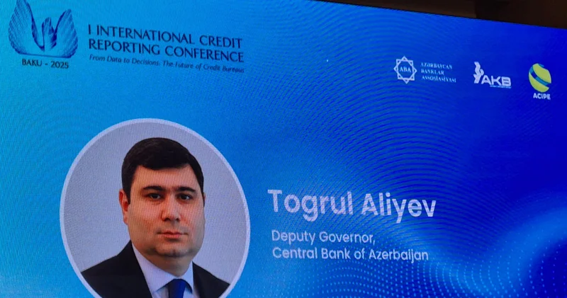 Bank sektorunun davamlı inkişafını təmin oluna bilər Toğrul Əliyev