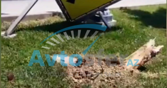 “Toyota Aqua” sürücüsü yüksək sürətlə hərəkət edib ağacı kökündən qopardı VİDEO