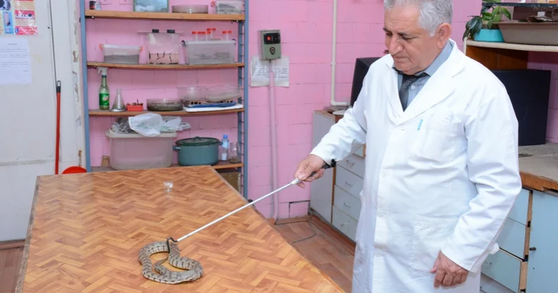 İlanlardan necə qorunmaq olar?