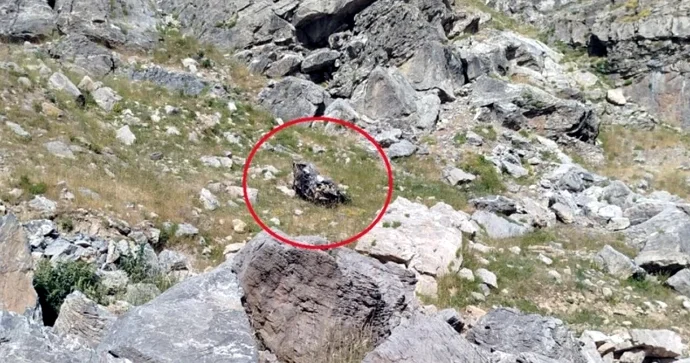 Muzey direktoru və müəllimlərin olduğu avtomobil dərəyə aşıb, ölənlər var