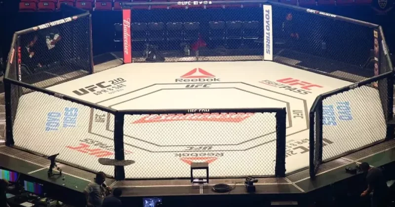 Прошедший в Баку турнир UFC ознаменовался новым рекордом