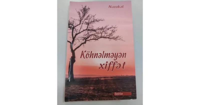Vətən sevdalı ananın qürur nəğmələri