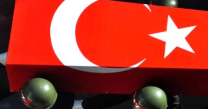 Türklər üçün vizasız Avropa üçün Aİ dən əlamətdar çıxış