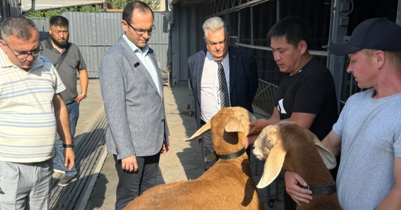 Kənd təsərrüfatı naziri Qırğızıstanda heyvandarlıq və balıqçılıq təsərrüfatları ilə tanış olub