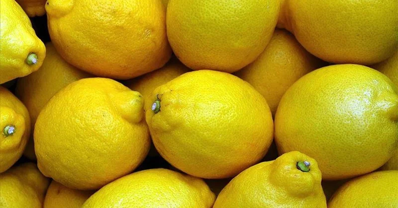 Azərbaycanda limon bahalaşıb Səbəb MƏLUM OLDU