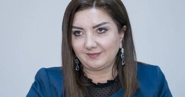 Nazilə Səfərli onu təhqir edən izləyicindən polisə şikayət etdi