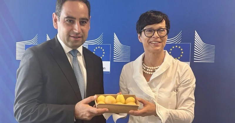 Ermənistan əriklərinin ilk simvolik partiyası Avropa İttifaqına çatdı... FOTO