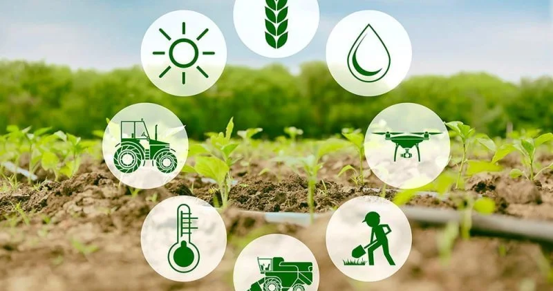 Aqrar və sənaye sektorları üçün yeni güzəştlər