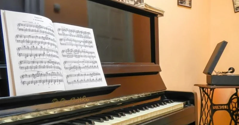 Musiqi sənəti istiqaməti üzrə qabiliyyət imtahanlarının qrafiki açıqlanıb
