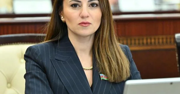 Ölkəmizdə müasir tələblərə cavab verən dövlət idarəetmə sistemi qurulub