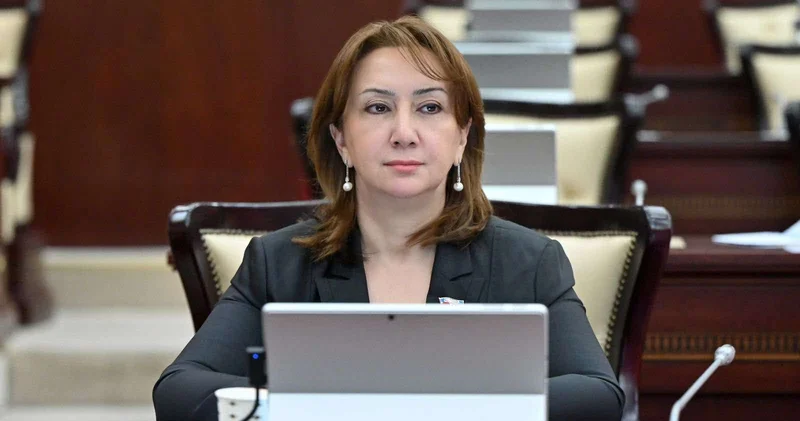 “Azərbaycançılıq gənclərin gələcəyinə yön verən ideologiyadır”