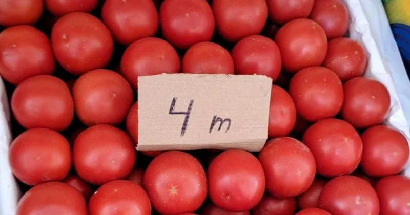 Pomidor yenə bahalaşır?
